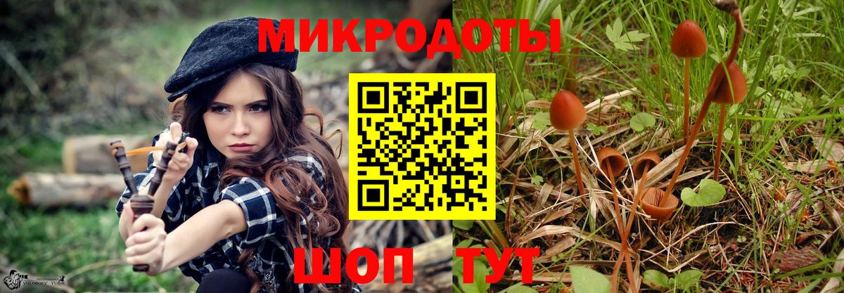 ГАШИШ Гусиноозёрск