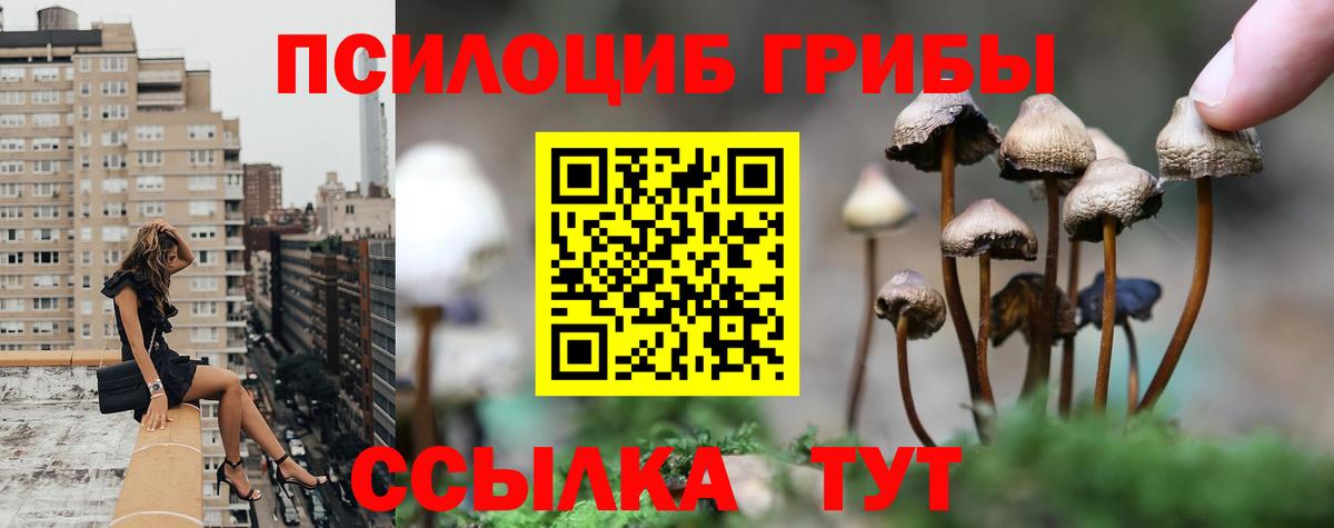 Псилоцибиновые грибы Psilocybe  Вход с VPN  Гусиноозёрск  Псилоцибиновые грибы GOLDEN TEACHER 